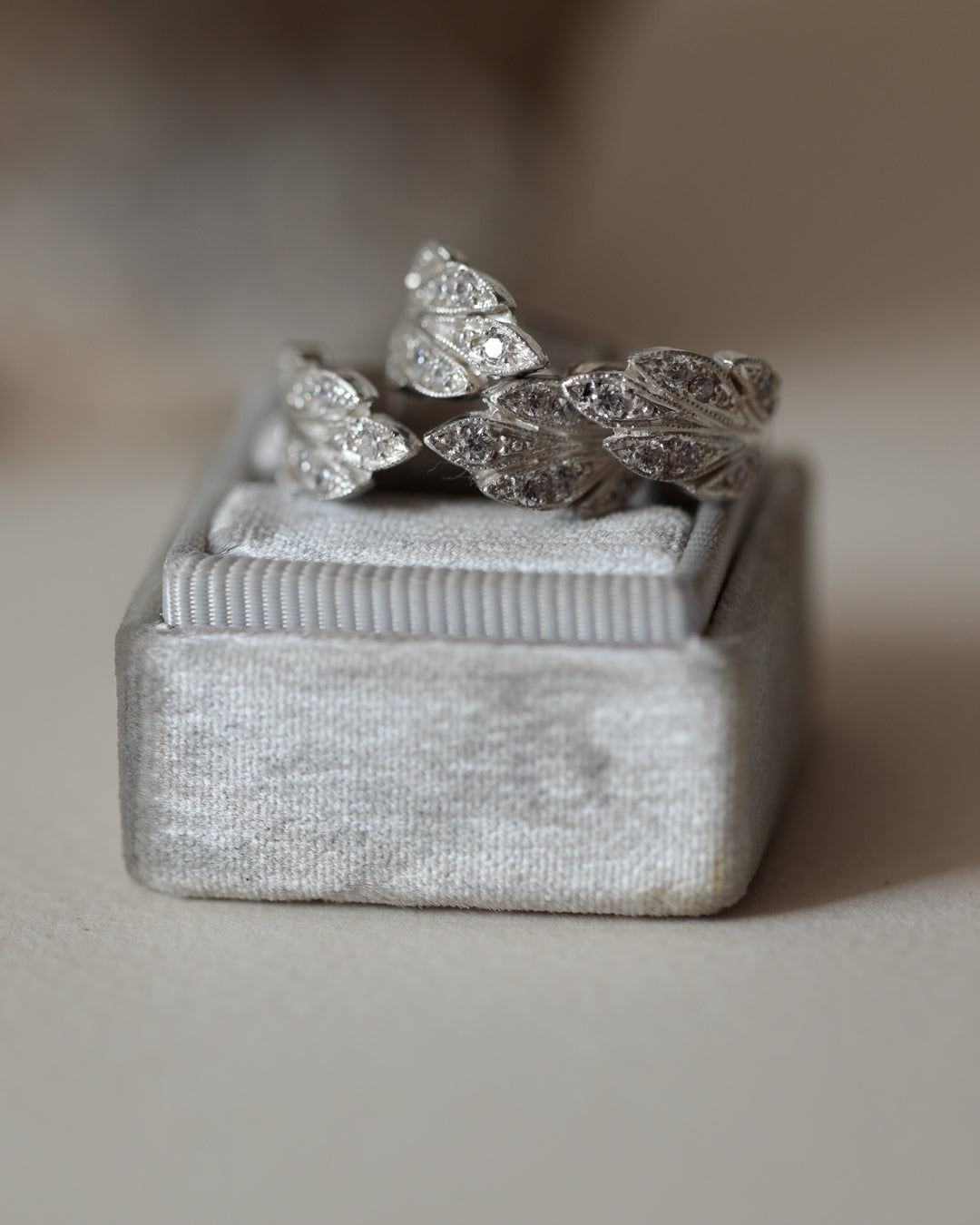 Anillo Espino